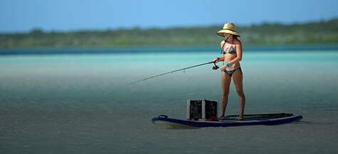 Fishing Rods for sale in Fort Myers, Florida